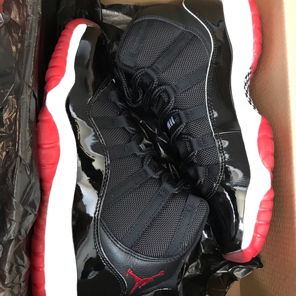 bred 11 5y